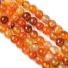 Natural Striped Agate/Banded Agate Beads Strands G-I254-03B-02-3