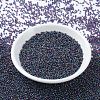 MIYUKI Round Rocailles Beads SEED-X0054-RR0333-2