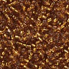 6/0 Glass Seed Beads SEED-A005-4mm-22C-2