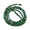 Natural African Jade Beads Strands G-B088-C20-02-3