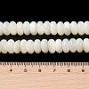 Natural Trochus Shell Beads Strands SHEL-P017-06-4