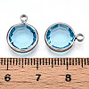 K9 Glass Charms X1-GLAA-T023-37B-04-3