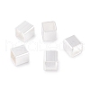 304 Stainless Steel European Beads FIND-Q103-05B-S-1