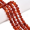 Dyed Natural Agate Beads Strands G-T141-16A-01-2