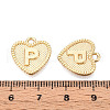 Alloy Pendants PALLOY-N157-001P-NR-3