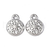 Non-Tarnish 304 Stainless Steel Charms STAS-C066-33P-2