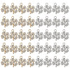 CHGCRAFT 40Pcs 2 Colors Alloy Pendants FIND-CA0006-74-1