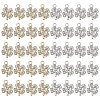 CHGCRAFT 40Pcs 2 Colors Alloy Pendants FIND-CA0006-74-1