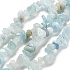 Natural Aquamarine Chip Beads Strands G-L154-19-2