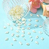 Acrylic Cabochons MRMJ-T063-217-4