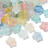 Frosted Acrylic Charms OACR-M023-04B-1
