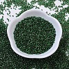 MIYUKI Delica Beads SEED-X0054-DB0148-2