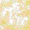 Transparent Colours Glass Seed Beads SEED-H003-01H-3