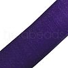 Polyester Organza Ribbon ORIB-L001-03-465-2