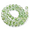 Frosted Spray Painted Glass Beads Strands X-GLAA-N035-03C-C02-2