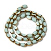 Electroplate Glass Beads Strands EGLA-P061-02A-11-2