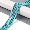 Synthetic Turquoise Beads Strands G-U004-02B-2