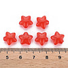Transparent Acrylic Beads MACR-S373-26E-04-4