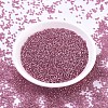 MIYUKI Round Rocailles Beads X-SEED-G007-RR1338-2