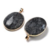 Electroplate Natural Labradorite Pendants KK-F882-06G-01-2
