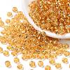 6/0 Transparent Glass Round Seed Beads X-SEED-J010-F6-22B-1