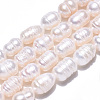 Natural Cultured Freshwater Pearl Beads Strands PEAR-N012-06R-4