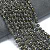 Natural Labradorite Beads Strands G-K389-E75-01-2