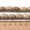Natural Aqua Terra Jasper Beads Strands G-L624-C03-14x10mm-5