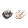 Natural Paua Shell Nuggets Charms SHEL-T020-11B-2