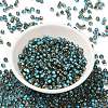 Glass Seed Beads SEED-H002-B-D223-2
