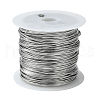Non-Tarnish 316 Surgical Stainless Steel Wire TWIR-L004-01D-P-1