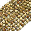 Natural Picture Jasper Beads Strands G-K389-E12-01-1