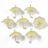 Acrylic Pendants KY-S163-093A-04-1