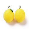 Opaque Resin Fruit Pendants RESI-H144-04-1