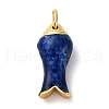 Brass Enamel Pendants KK-I276-22G-2