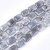 Natural Labradorite Beads Strands G-T121-13-2