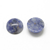 Natural Blue Spot Jasper Cabochons G-R416-12mm-45-2