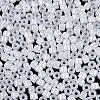 Glass Seed Beads SEED-T008-01A-4