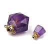 Natural Amethyst Perfume Bottle Pendants G-P554-G01-2