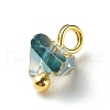 Electroplate Glass Charms PALLOY-JF00821-06-6