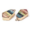 Rainbow Color Natural Imperial Jasper Pendants G-S359-328-3