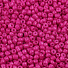 Baking Paint Glass Seed Beads SEED-S002-K24-2