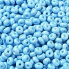 Baking Paint Glass Seed Beads SEED-B001-02A-12-3