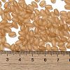 Transparent Colours Glass Seed Beads SEED-F006-03A-10-4