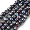 Natural Cultured Freshwater Pearl Beads Strands PEAR-P064-19L-03A-2