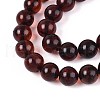 Natural Amber Beads Strands G-K387-D01-03-3