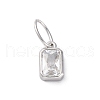 925 Sterling Silver Cubic Zirconia Charms STER-NH0014-01P-04-1