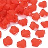 Transparent Acrylic Beads MACR-S373-106-D01-1
