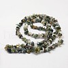 Natural Indian Agate Beads Strands G-F328-12-2