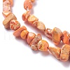 Natural Imperial Jasper Bead Strands G-P444-05B-3